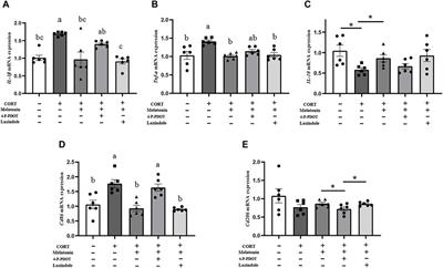 Melatonin modulates neuroinflammatory response and microglial activation in mice exposed to dim blue light at night